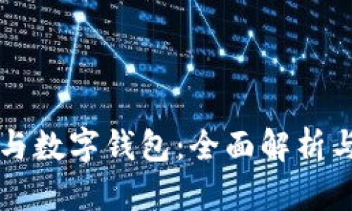 公司账户与数字钱包：全面解析与应用前景