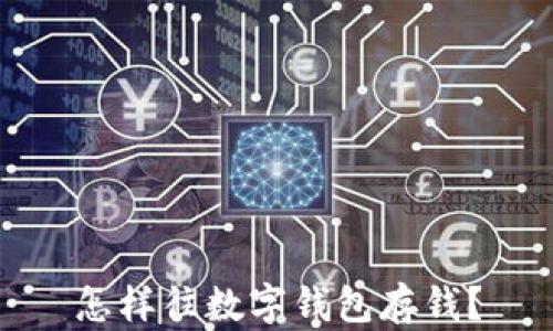 
怎样往数字钱包存钱？