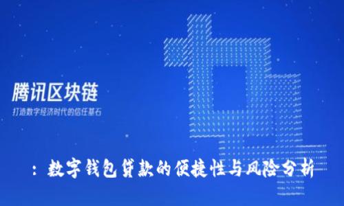 : 数字钱包贷款的便捷性与风险分析