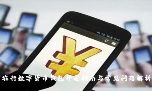 农行数字货币钱包开通指南与常见问题解析