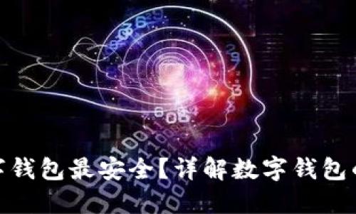 哪种数字钱包最安全？详解数字钱包的安全性