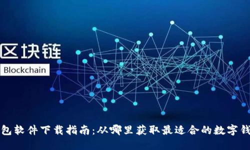 数字钱包软件下载指南：从哪里获取最适合的数字钱包应用