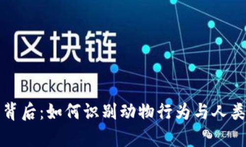 狐狸卖萌的背后：如何识别动物行为与人类情感的真相