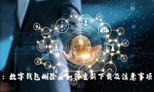 : 数字钱包删除后如何重新下载及注意事项