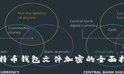 比特币钱包文件加密的全面指南