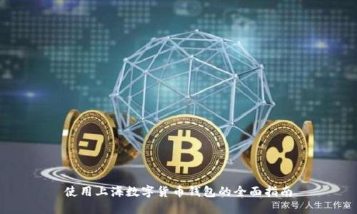 使用上海数字货币钱包的全面指南