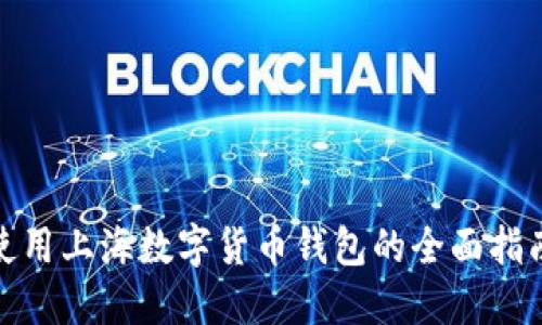 使用上海数字货币钱包的全面指南