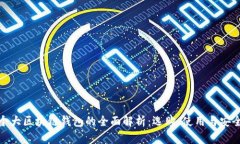 个大区块链钱包的全面解
