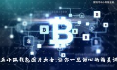 真正小狐钱包图片大全：