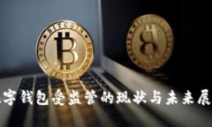 数字钱包受监管的现状与