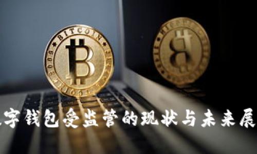 数字钱包受监管的现状与未来展望