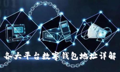各大平台数字钱包地址详解
