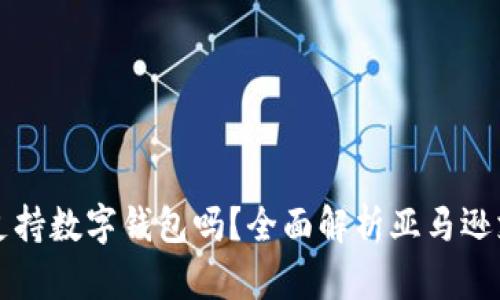 亚马逊支持数字钱包吗？全面解析亚马逊支付方式