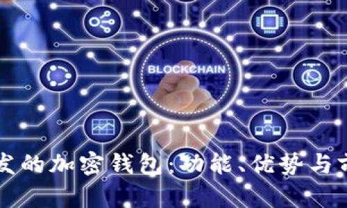 国内开发的加密钱包：功能、优势与前景分析