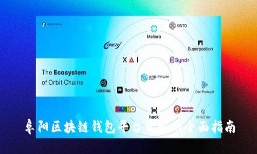 阜阳区块链钱包平台开发的全面指南