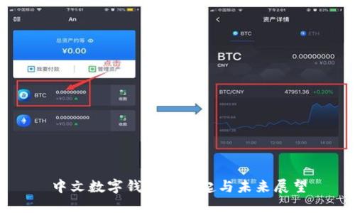 中文数字钱包的崛起与未来展望
