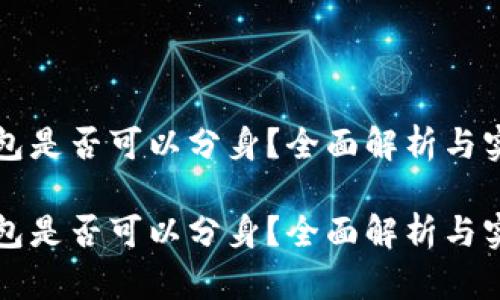 小狐钱包是否可以分身？全面解析与实用指南

小狐钱包是否可以分身？全面解析与实用指南