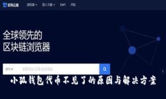 小狐钱包代币不见了的原因与解决方案