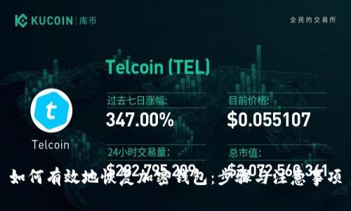 如何有效地恢复加密钱包：步骤与注意事项
