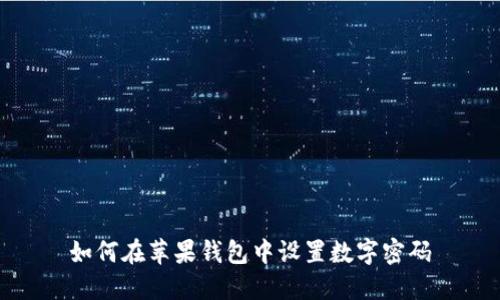 如何在苹果钱包中设置数字密码