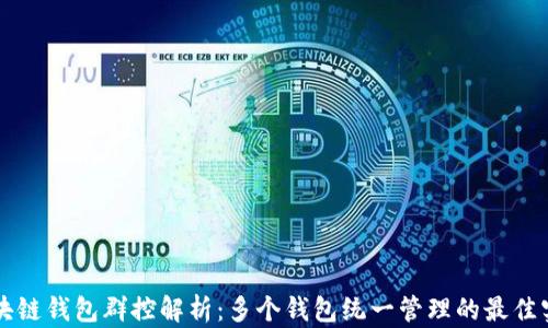 
区块链钱包群控解析：多个钱包统一管理的最佳实践