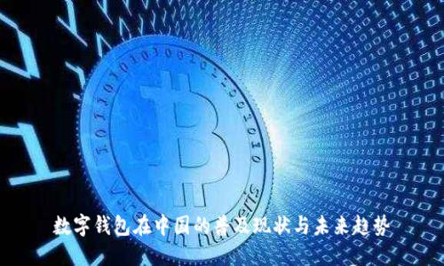 数字钱包在中国的普及现状与未来趋势