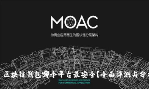 : 区块链钱包哪个平台最安全？全面评测与分析