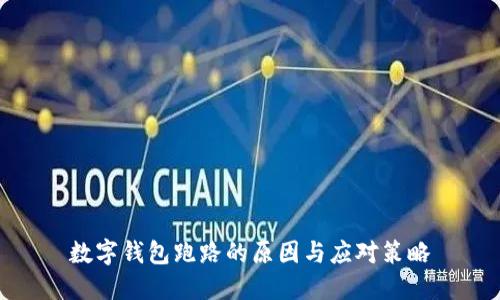 数字钱包跑路的原因与应对策略