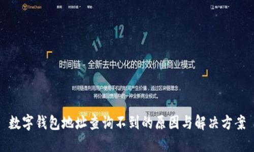 数字钱包地址查询不到的原因与解决方案