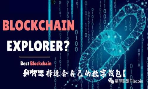 如何选择适合自己的数字钱包？