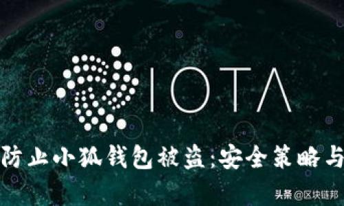 如何有效防止小狐钱包被盗：安全策略与实用建议