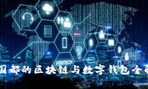 新国都的区块链与数字钱包全解析