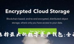 如何选择最大的数字资产钱包：全面指南