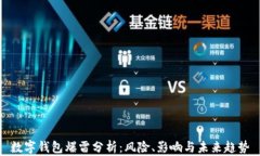 数字钱包爆雷分析：风险、影响与未来趋势