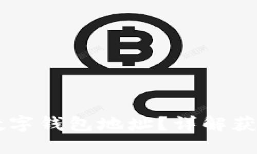 如何找到CP数字钱包地址？详解获取与管理方法