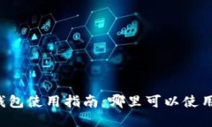 成都数字钱包使用指南：