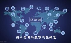 国人使用的数字钱包概览