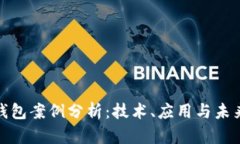 数字钱包案例分析：技术