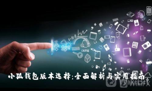 小狐钱包版本选择：全面解析与实用指南