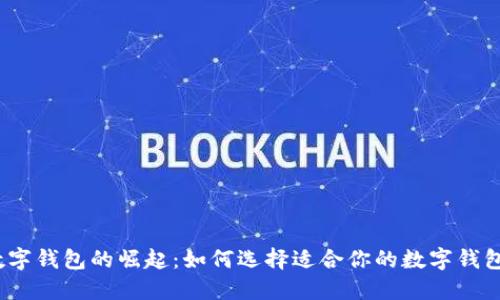 数字钱包的崛起：如何选择适合你的数字钱包？