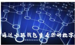 如何通过小狐钱包查看你的数字资产
