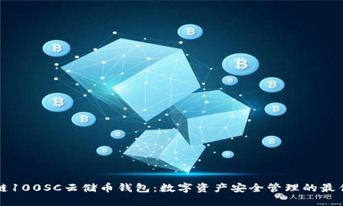 区块链100SC云储币钱包：数字资产安全管理的最佳选择