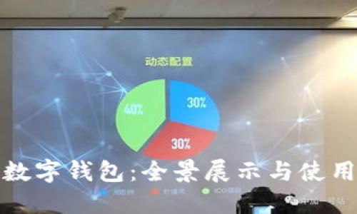 深圳数字钱包：全景展示与使用体验