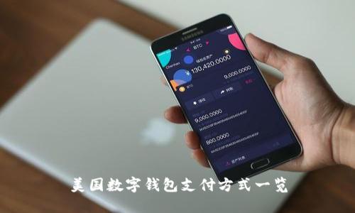 美国数字钱包支付方式一览