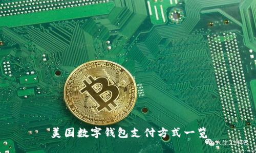 美国数字钱包支付方式一览