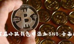 如何在小狐钱包中添加BNB：全面指南