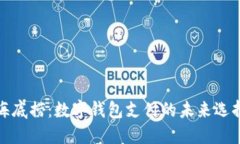 海底捞：数字钱包支付的