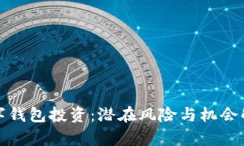 数字钱包投资：潜在风险与机会解析
