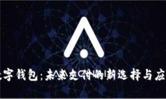 dcep数字钱包：未来支付的新选择与应用场景
