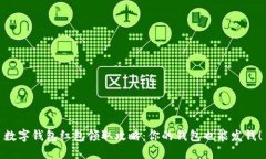 数字钱包红包领取攻略：你的钱包也能发钱！